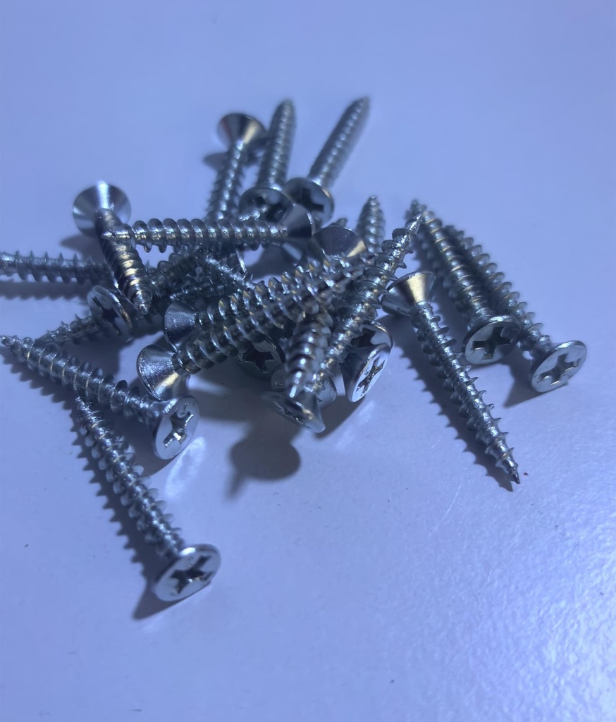 BUGGLE HEAD DRY WALL SCREW 3.5X25MM NO-305 