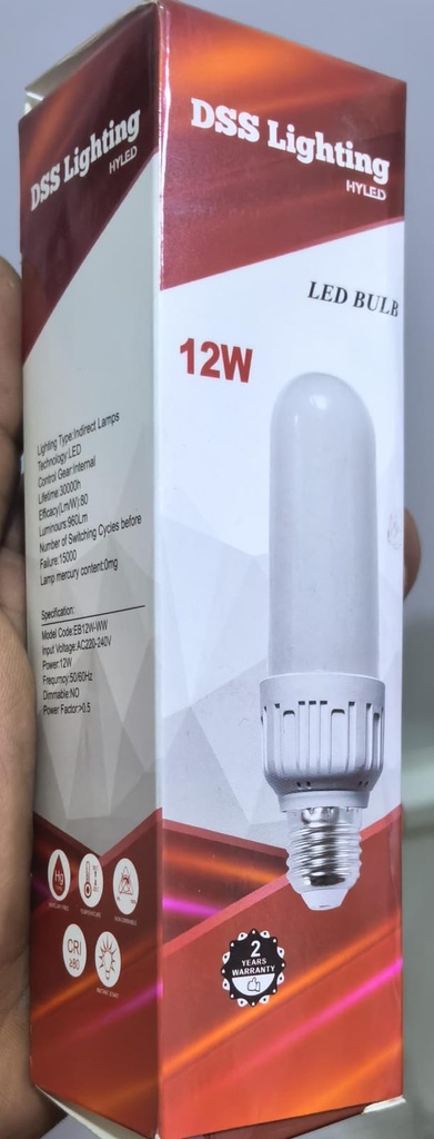  DSS LIGHTING LED BULB 12W 3000K - EB12W-WW 