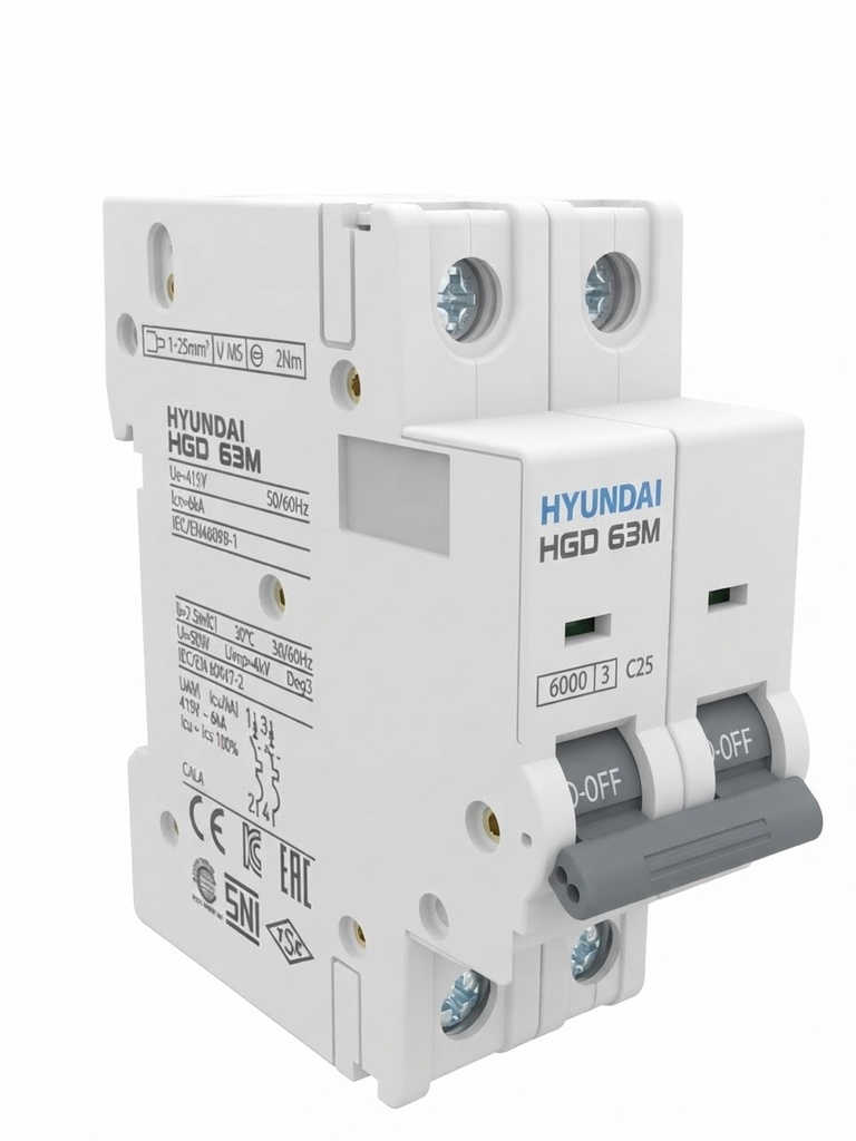 HYUNDAI BREAKER 2P C25A -CHINA