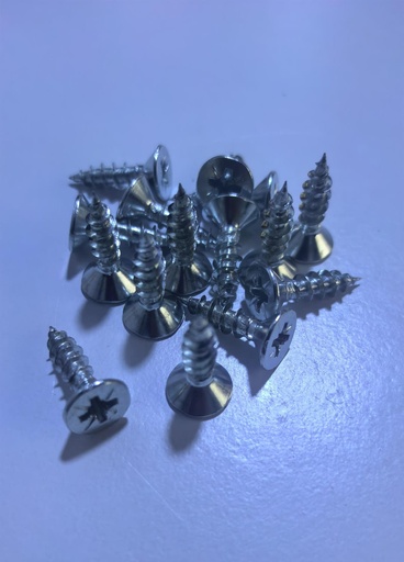[ NO-320 - بوجل رأس دري وال سكريو ]  BUGGLE HEAD DRY WALL SCREW 5X20MM NO-320 