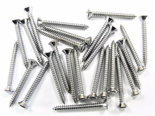 [ SELF TAPPING  برغيFLAT HD AB NICKLE 032- 8X1 ]  SELF TAPPING SCREW FLAT HD AB NICKLE 032- 8X1 
