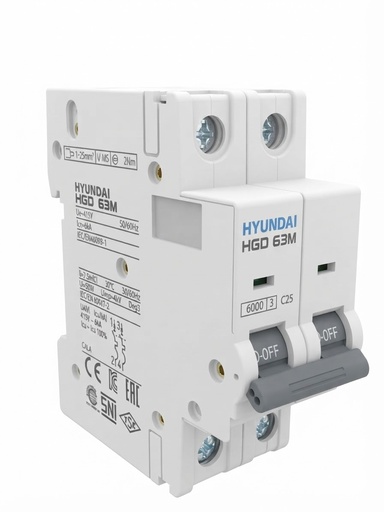 HYUNDAI BREAKER 2P C25A -CHINA